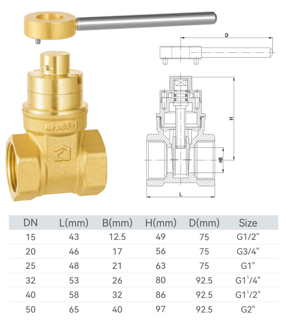 AC-C1032 Brass magnetic lock gate valve